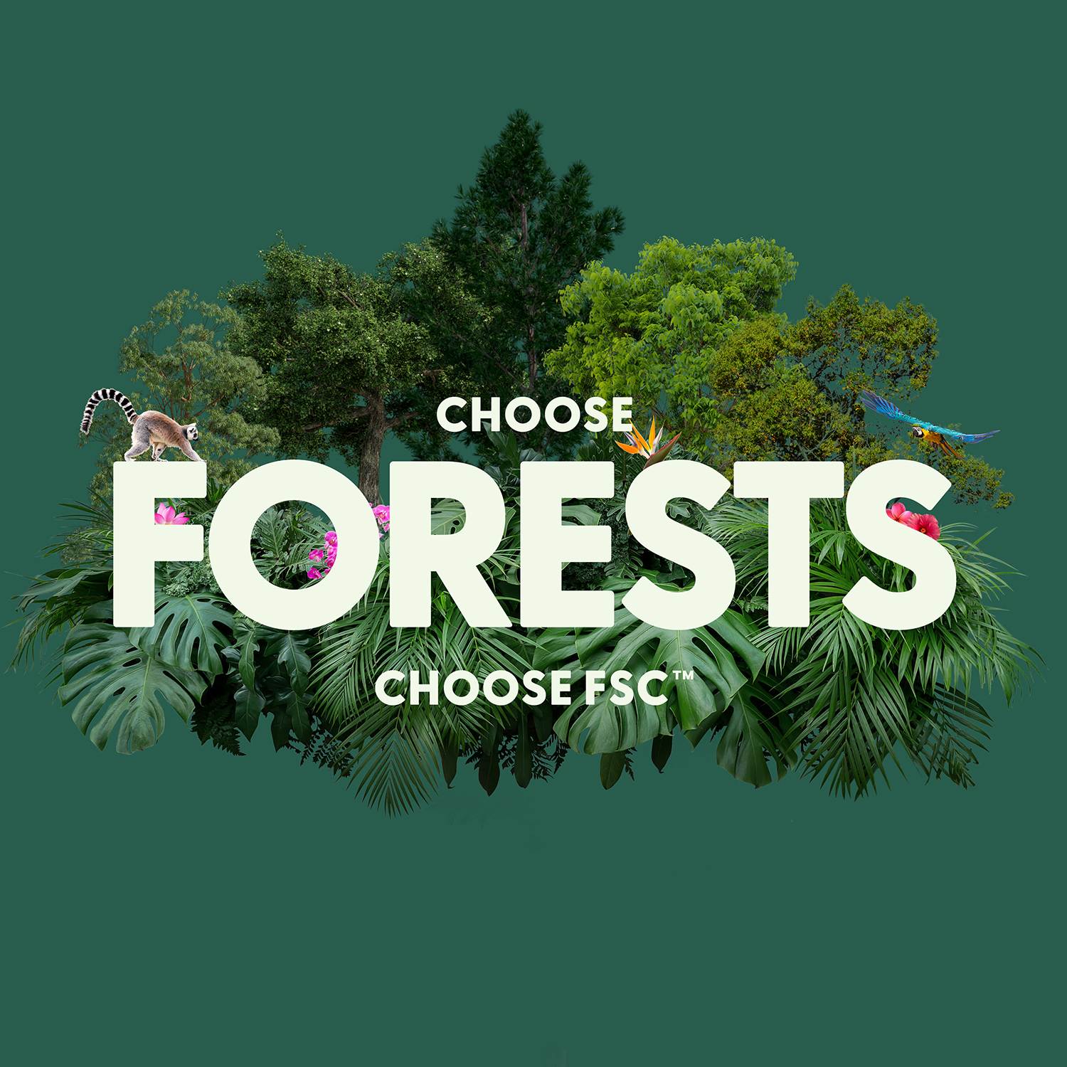 FSC Forest Week