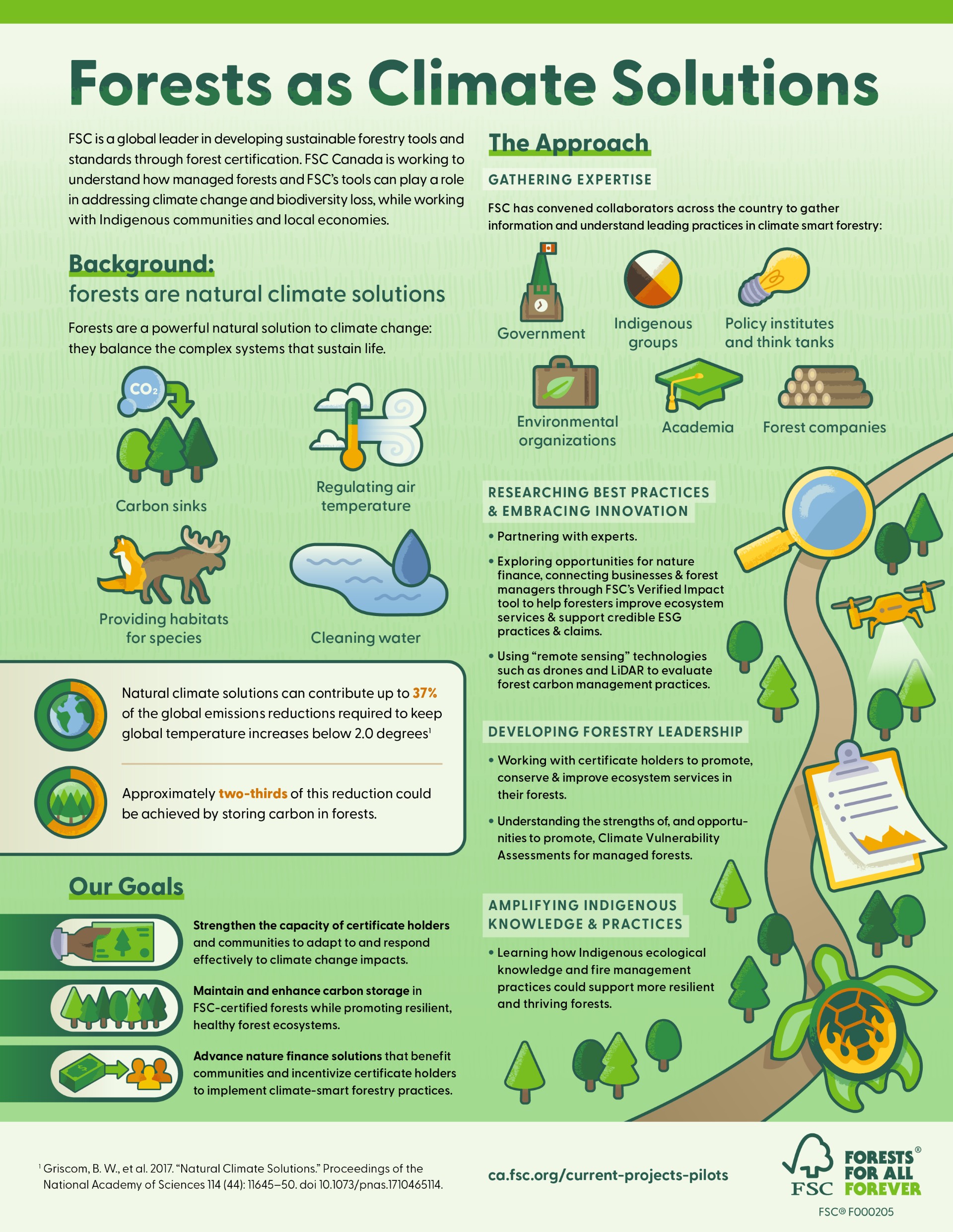 Forests as Climate Solutions