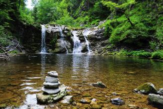 waterfall and forest