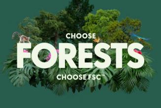 FSC Forest Week