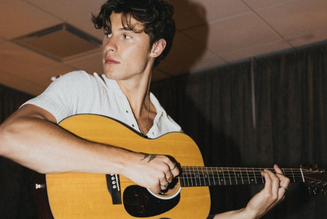 FSC guitar