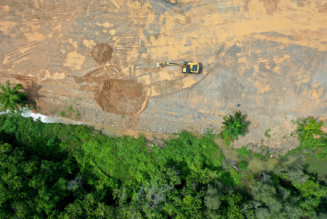 deforestation