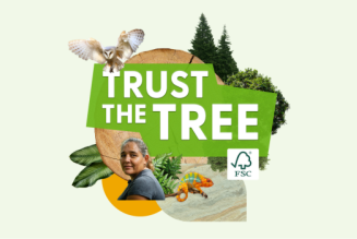 trust the tree
