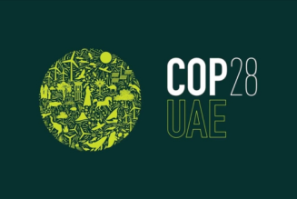 COP28