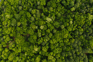 aerial