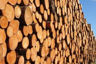 wood