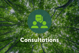 consultation