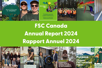annual report