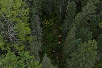 Romeo Malette Drone Shot