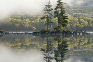 very limited portion