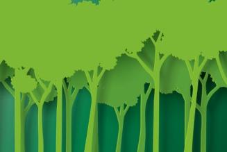 Indigenous Hub Announcement