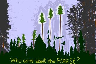 Who Cares about the Forest?