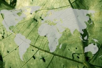 One Global Organization