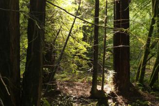 Supply Chain Integrity