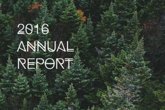 Annual Report 2016 - 2017