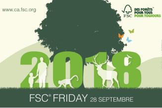 FSC Friday FR