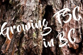 Growing FSC in BC