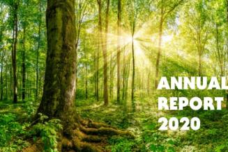 annual report