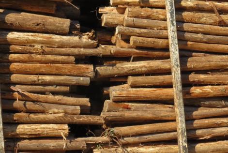 Chain of Custody