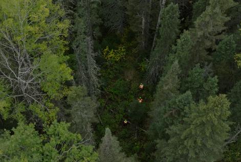 Romeo Malette Drone Shot