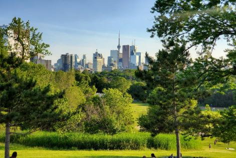 Verified Impact Toronto