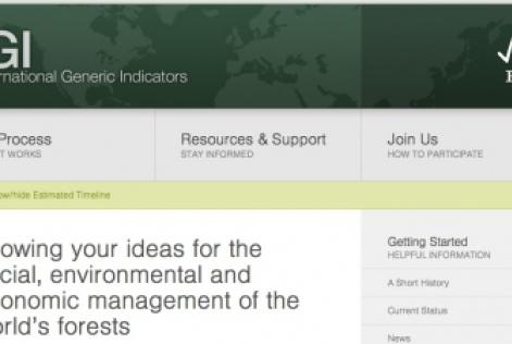New IGI Website
