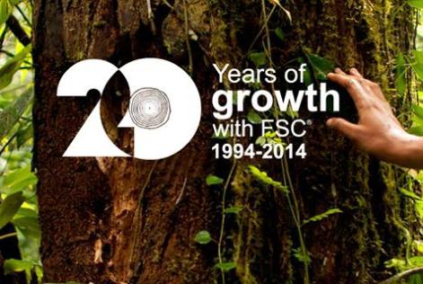 20 years of responsible forestry.