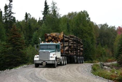 Nawiinginokiima Forest Management Corporation