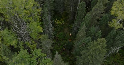 Romeo Malette Drone Shot