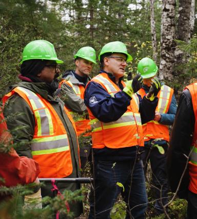 GreenFirst Forest Tour