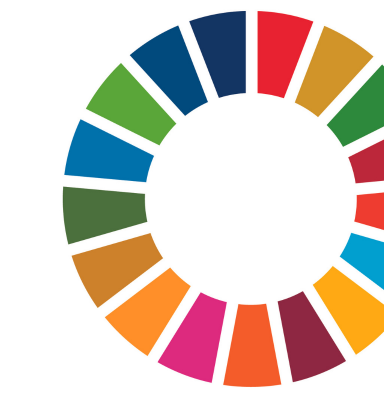 SDG Colour Wheel