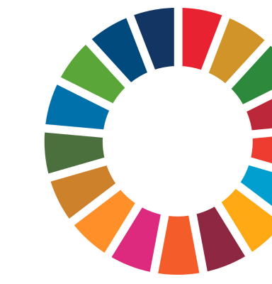 United Nations Sustainable Development Goals (SDGs) | Forest ...