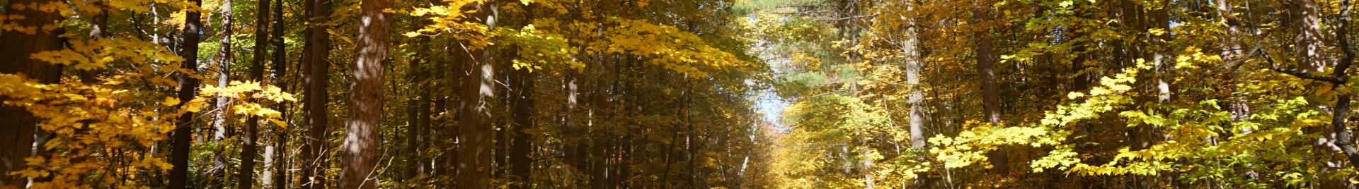 trees