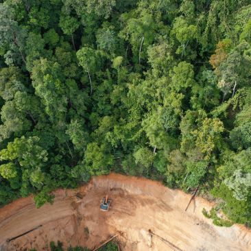 Deforestation in the  - Council on Foreign Relations