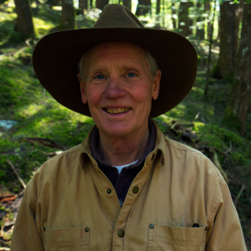 man in forest