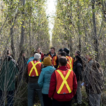 people in forest