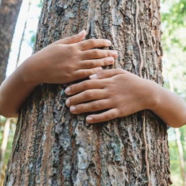 hands hugging tree