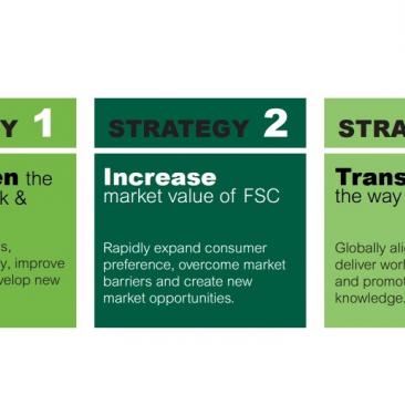 FSC's three main strategies for 2015-2020