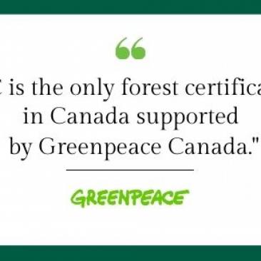 greenpeace greenpeace